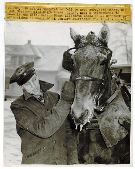 Original press photo of Freezing Sealtest Milk Wagon Driver & Horse Toledo Ohio.
